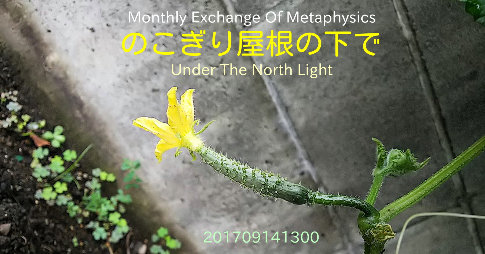 添付画像【441_20170914-2.jpg : 368.1KB】