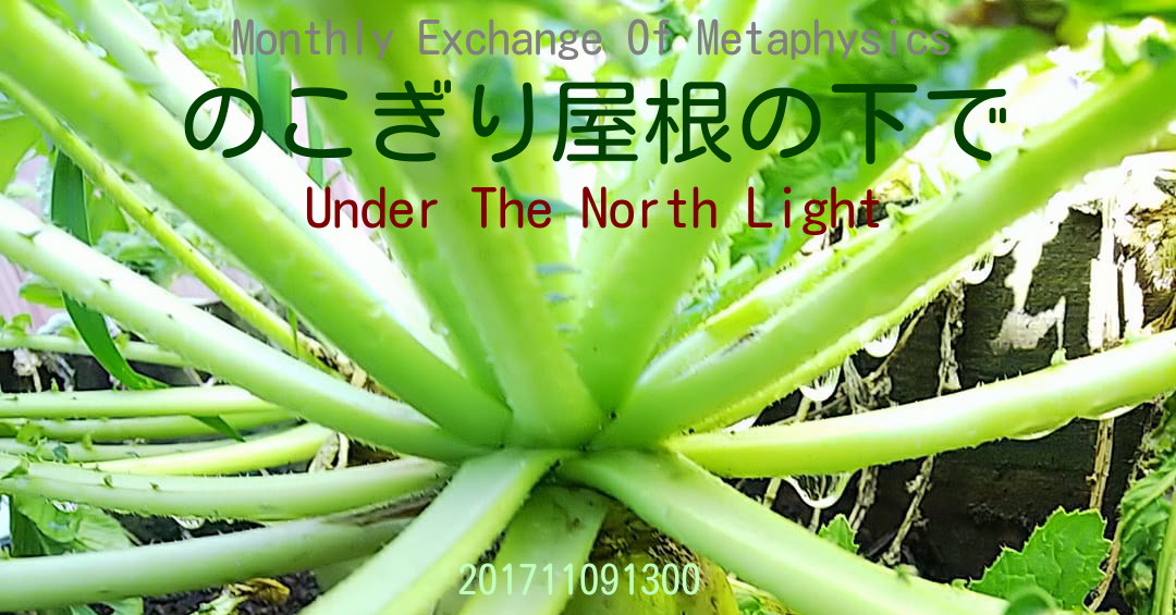 添付画像【449_20171109.jpg : 177.2KB】