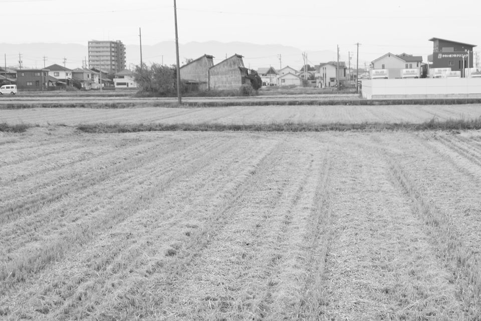 添付画像【572_20200222-3.jpg : 106.4KB】