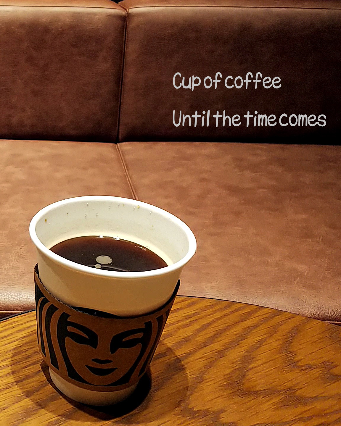 添付画像【842_DSC_0488-1.jpeg : 429.3KB】